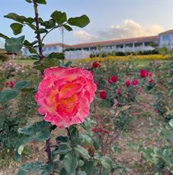 Hotel Fazenda Retiro das Rosas