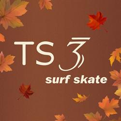 TS3 SURF SKATE - Centro
