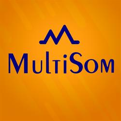 Multi Som