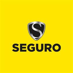 Seguro Segurança