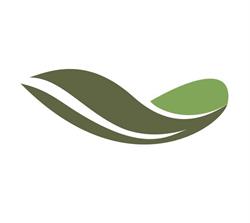 CAVE - Consultorias e Projetos de Engenharia