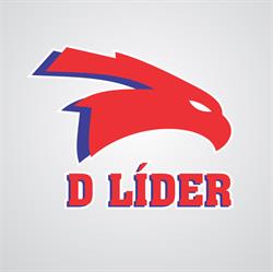 D Líder Distribuidora