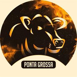 Espetinhos Curitiba - Ponta Grossa