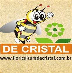 Floricultura De Cristal