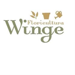 Floricultura Winge