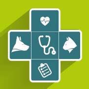 Clínica Veterinária MedVet