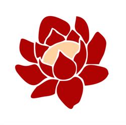 LOTUS Instituto de Beleza
