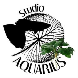 Studio Aquarius - Loja especializada em Aquário em Rio Claro