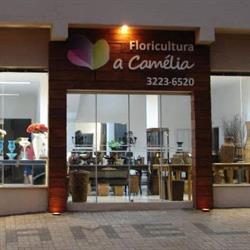 Floricultura À Camélia