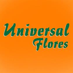 Universal Flores