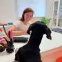 Veterinária em Caxias do Sul