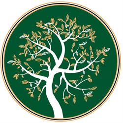 Essência - Produtos Naturais