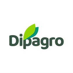 Dipagro - Lucas do Rio Verde/MT