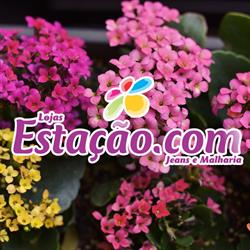 Lojas Estação