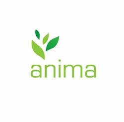 Anima - Estudo e Atendimento Psicológico