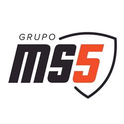 Grupo MS Services