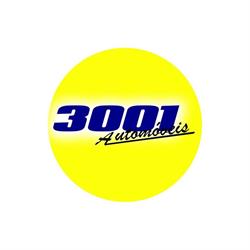 3001 Automóveis