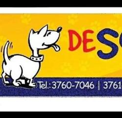 Desquina Rações