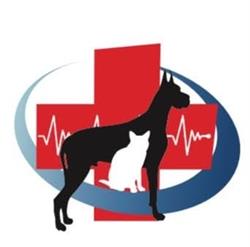 Centro Médico Veterinário Dr. Alexandre dos Santos