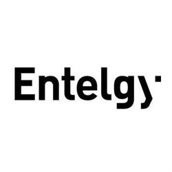 Entelgy Brasil