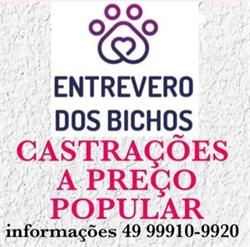 Pet Shop - Banho e Tosa & Consultório Veterinário Entrevero DOS Bichos