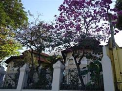 Escola Municipal Floriano Peixoto