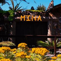 A Mina De Gramado