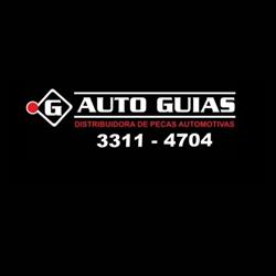 Auto Guias