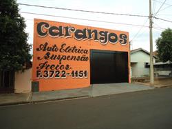 Carangos Auto Elétrica Suspensão e Freios