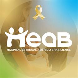 Hospital Estadual Américo Brasiliense