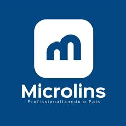 Microlins