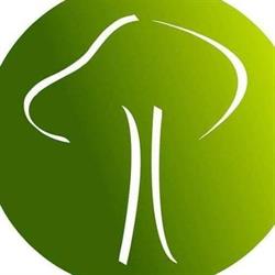 CEAV - Comunidade Evangélica Árvore da Vida