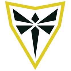 Saivor - Educação, Desenvolvimento & Consultoria Empresarial