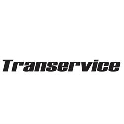 Transervice Guindastes