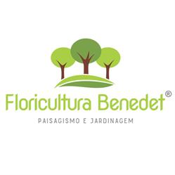 Floricultura Benedet