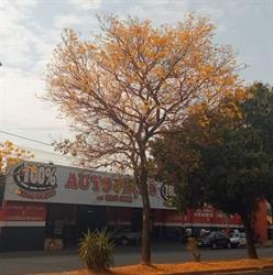 Auto Peças 100%