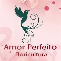 Floricultura Amor Perfeito