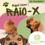 Raio X veterinário