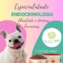 Endocrinologia veterinária