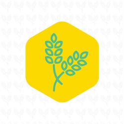 Alecrim Dourado Produtos Naturais e Saudáveis