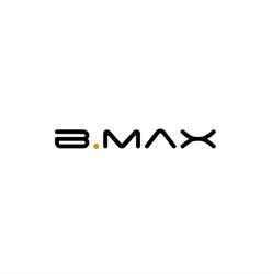 B.MAX Consultoria
