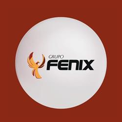 Fenix Engenharia