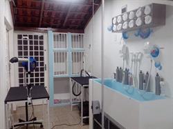 Pequeno Princípe-Centro de Estética Animal
