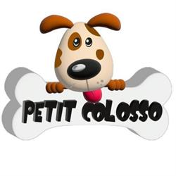 Petit Colosso - Hospital Veterinário 24 Horas Bertioga