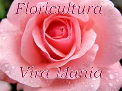 Floricultura Vira Mania