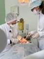 cirurgia extração