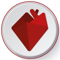 Pró Cuore Cirurgia Cardiovascular I Cardiologista I Florianópolis