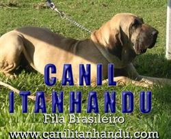 Canil Itanhandu
