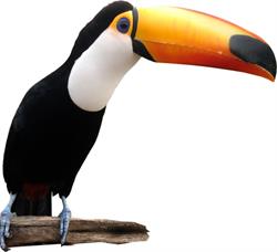 Agropecuaria Nova Tucano