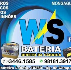 WS Baterias
